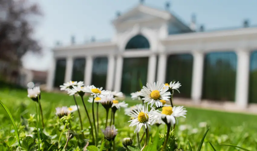 Kristly Imperial Hotel Tata - Augusztus 20. 