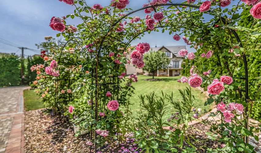 Laky Villa Zalakaros - Augusztus 20. (min. 2 �j)