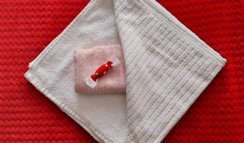 Lank�s Vend�gh�z Holl�k� - Augusztus 20. (min. 2 �j)