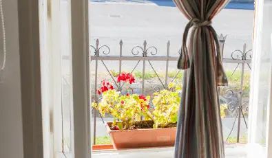 Lank�s Vend�gh�z Holl�k�