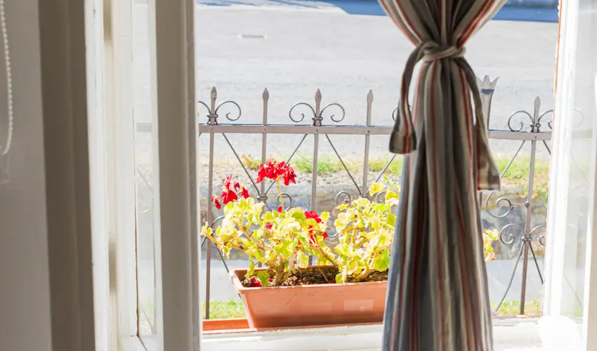 Lank�s Vend�gh�z Holl�k� - Augusztus 20. (min. 2 �j)