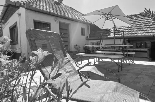 Lank�s Vend�gh�z - Augusztus 20. (min. 2 �j)