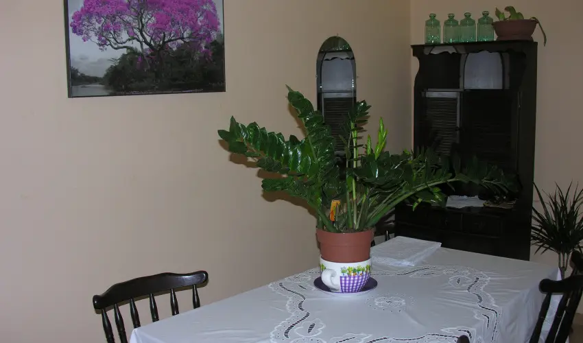 Lelkesh�z Szarvas - Augusztus 20.