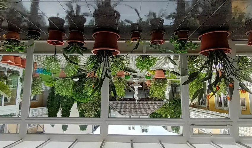 Ldia Hotel Harkny Harkny - Augusztus 20. (min. 2 j)