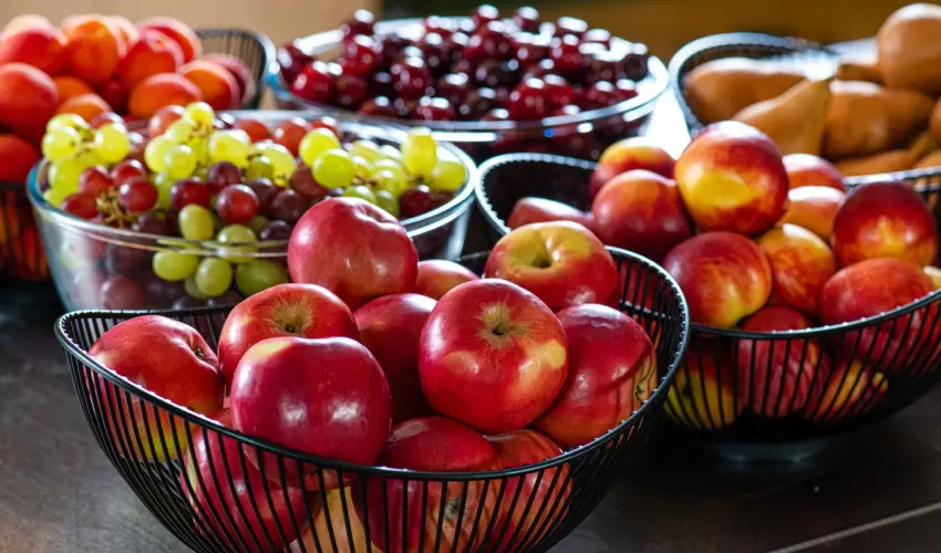 Lifestyle Hotel Mtra Mtrahza - Augusztus 20.