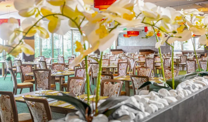 Lifestyle Hotel Mtra Mtrahza - Augusztus 20.