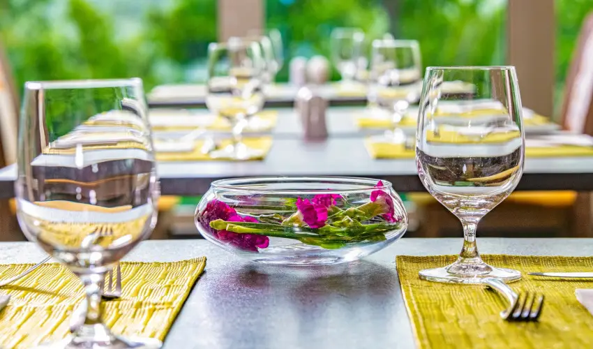 Lifestyle Hotel Mtra Mtrahza - Augusztus 20.