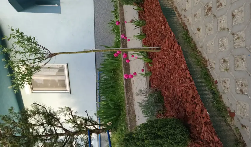Liliom Apartman Zalakaros - Augusztus 20. (min. 3 �j)