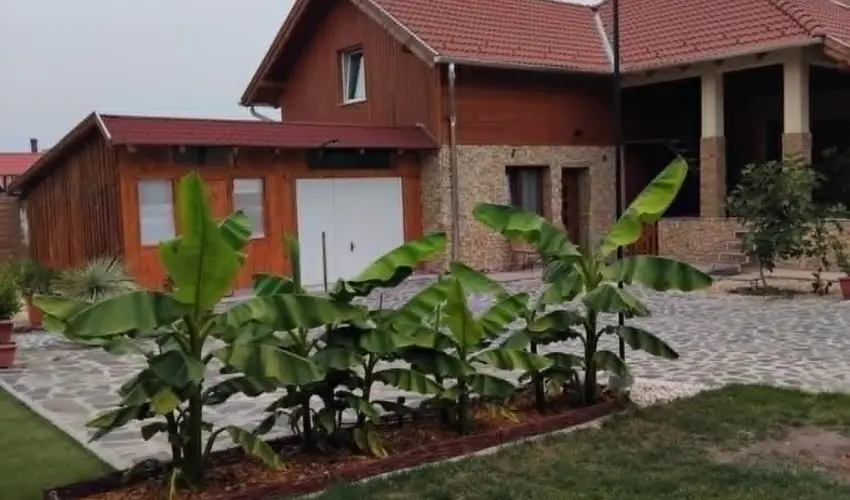 Lilla Apartmanh�zak Szilv�sv�rad - Augusztus 20. (min. 2 �j)