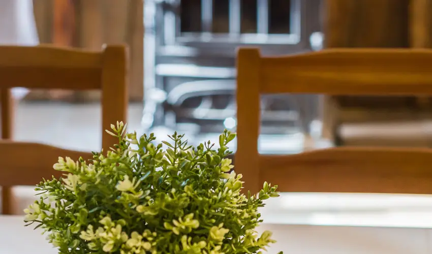 Lipicai Hotel Szilvsvrad - Augusztus 20. (min. 2 j)