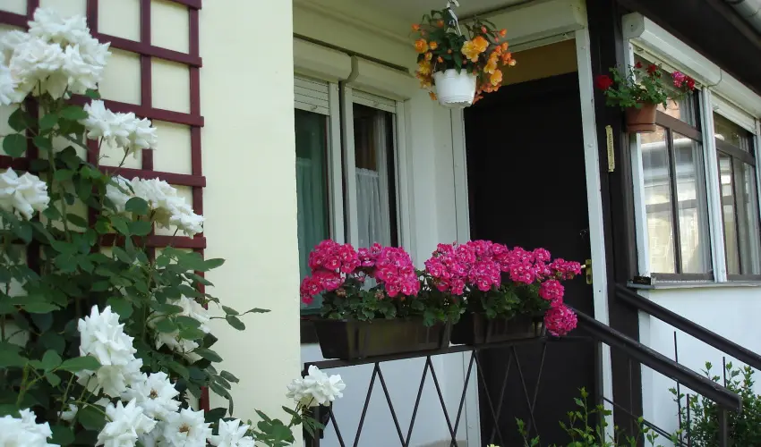 Liza Apartman Gyula - Augusztus 20. (min. 2 �j)