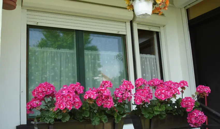 Liza Apartman Gyula - Augusztus 20. (min. 2 �j)