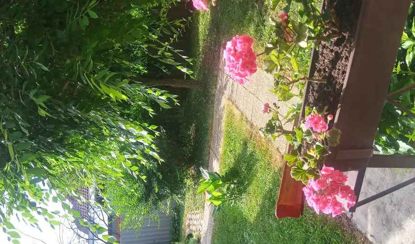 Liza Apartman Gyula - Augusztus 20. (min. 2 �j)