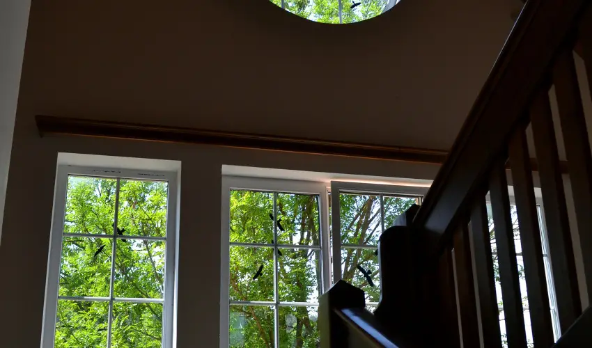 Malomkert Hotel Nagyb�rzs�ny - Augusztus 20.
