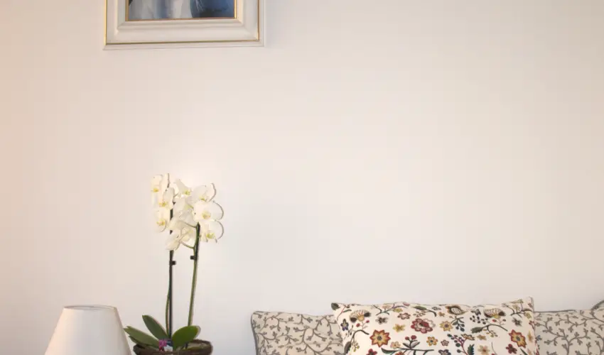 Malom-t Vendghz Tapolca - Augusztus 20.