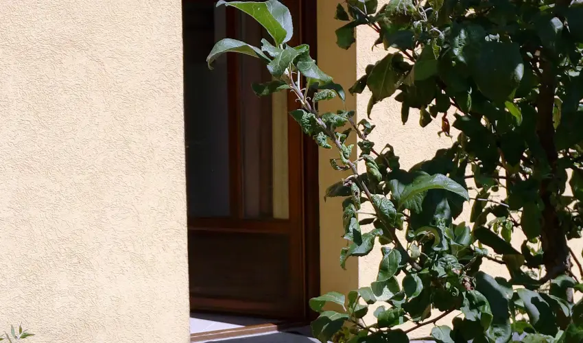 Malom-t Vendghz Tapolca - Augusztus 20.