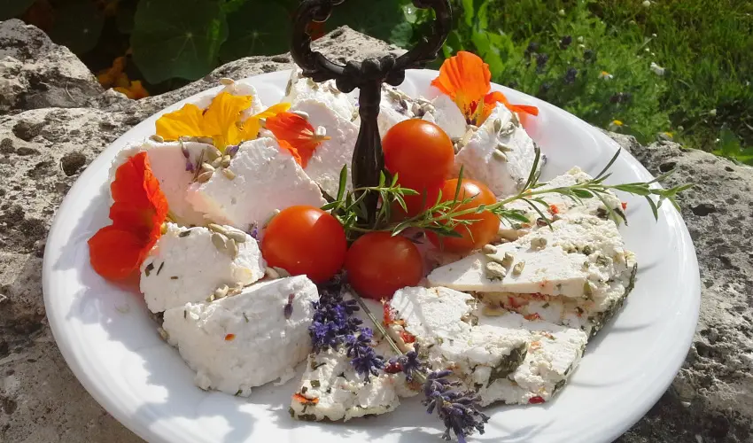 Malom-t Vendghz Tapolca - Augusztus 20.