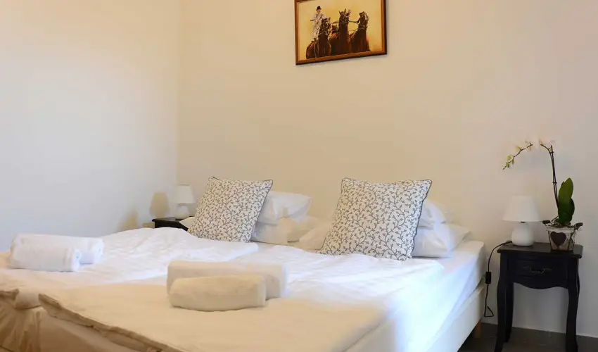 Malom-t Vendghz Tapolca - Augusztus 20.