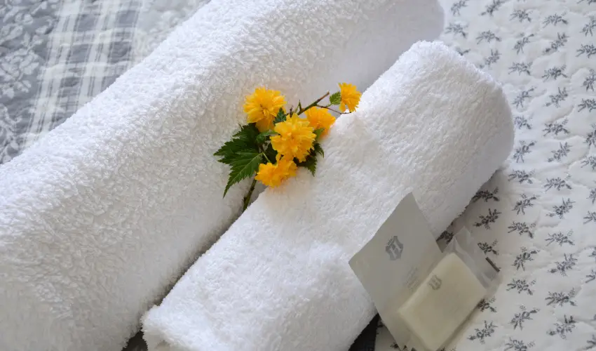 Malom-t Vendghz Tapolca - Augusztus 20.