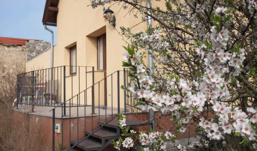 Malom-t Vendghz Tapolca - Augusztus 20.