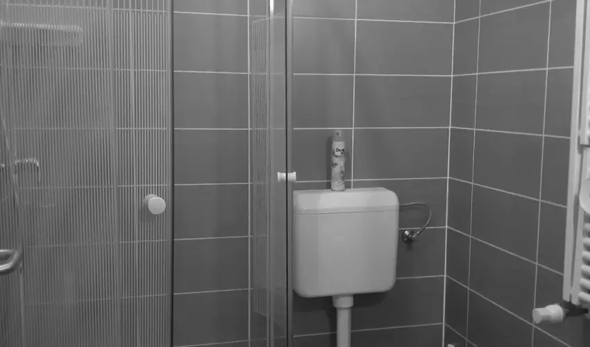 Margar�ta Apartman & �d�l�h�z Bog�cs - Augusztus 20.