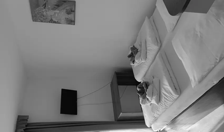 Margar�ta Apartman & �d�l�h�z Bog�cs - Augusztus 20.