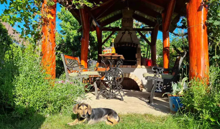 Margar�ta Panzi� S�rospatak - Augusztus 20. (min. 3 �j)