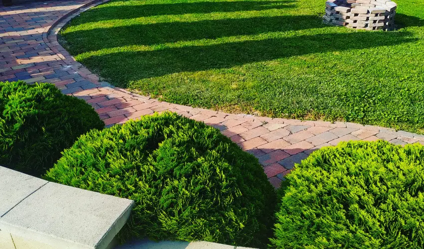 M�ria Apartmanok Zalakaros - Augusztus 20. (min. 2 �j)