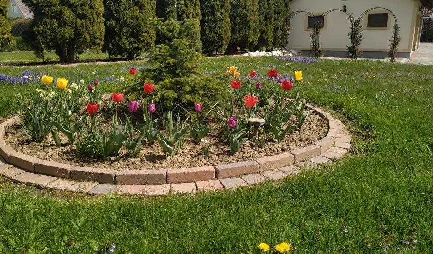 M�ria Apartmanok Zalakaros - Augusztus 20. (min. 2 �j)