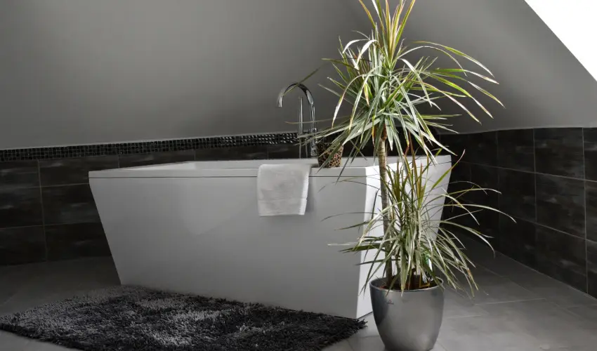 Vgvri Hotel Eger Eger - Augusztus 20.