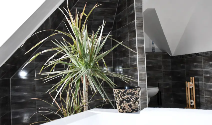 Vgvri Hotel Eger Eger - Augusztus 20.