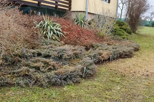 M�rk�i Vend�gh�z - Augusztus 20. (min. 2 �j)