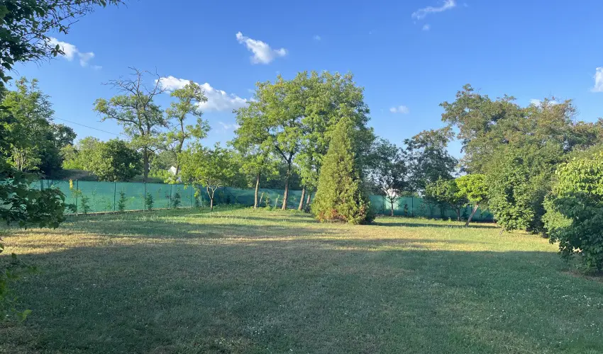 Mrki Vendghz Mrk - Augusztus 20. (min. 2 j)