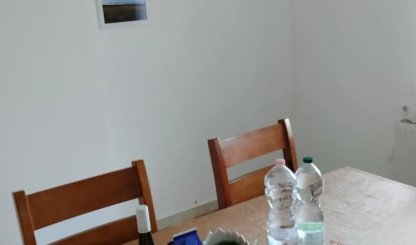 Mrki Vendghz Mrk - Augusztus 20. (min. 2 j)