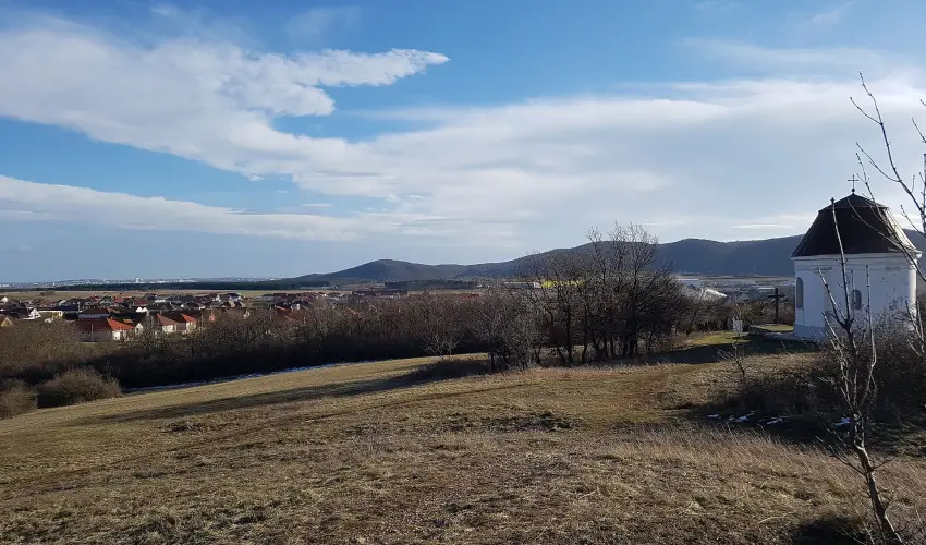 M�rk�i Vend�gh�z - kapu a Bakonyra M�rk� - Augusztus 20. (min. 2 �j)