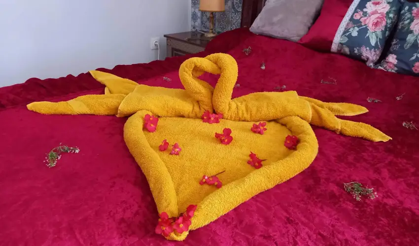 Meller Kast�ly Villa Csurg� - Augusztus 20.