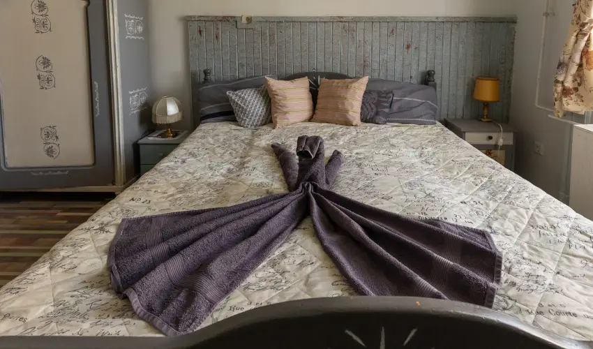 Meller Kast�ly Villa Csurg� - Augusztus 20.