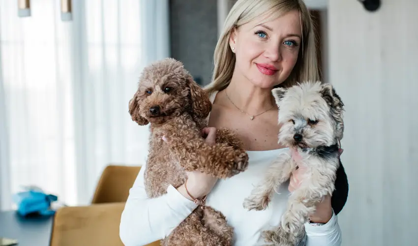 Mercure Tokaj Center Tokaj - Augusztus 20.