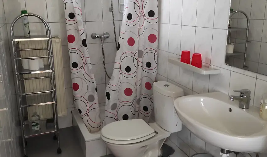 Montana Vendégház Balatonederics - Augusztus 20.