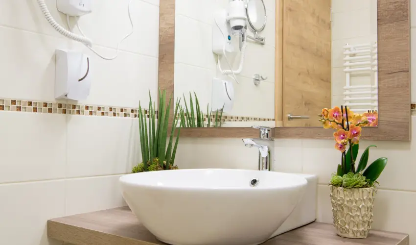 N�das T� Park Hotel Vasad - Augusztus 20. (min. 2 �j)