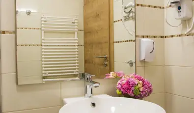 N�das T� Park Hotel Vasad