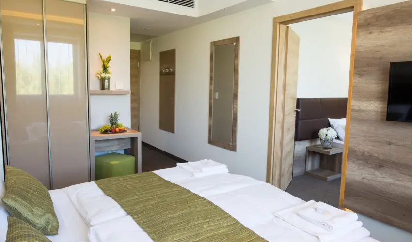 N�das T� Park Hotel Vasad - Augusztus 20. (min. 2 �j)