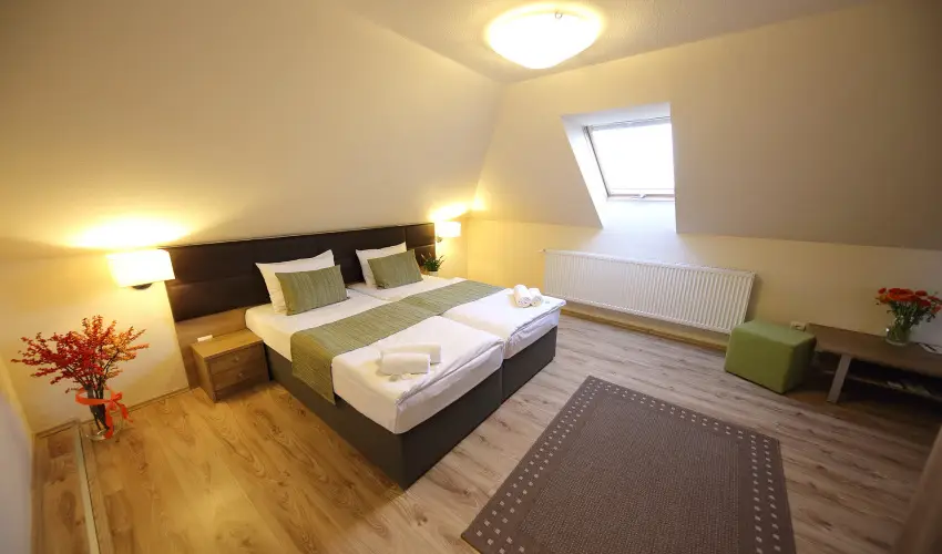 N�das T� Park Hotel Vasad - Augusztus 20. (min. 2 �j)