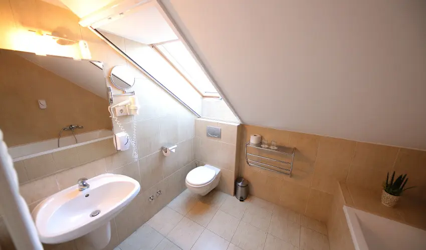 N�das T� Park Hotel Vasad - Augusztus 20. (min. 2 �j)