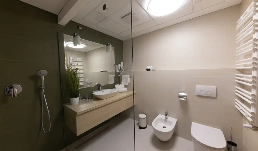 N�das T� Park Hotel Vasad - Augusztus 20. (min. 2 �j)