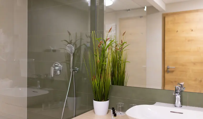 N�das T� Park Hotel Vasad - Augusztus 20. (min. 2 �j)