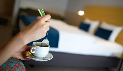 N�das T� Park Hotel Vasad