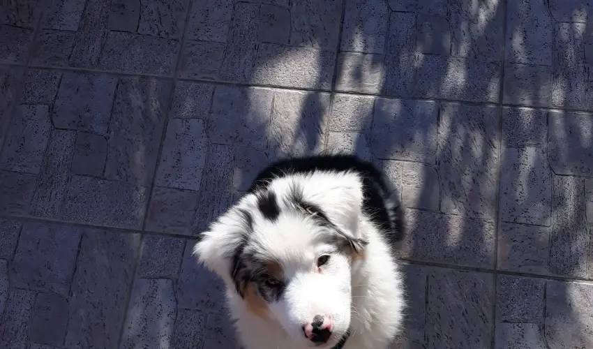 Napsug�r Ken�zy Lux Apartman Vend�gh�zak Hajd�szoboszl� - Augusztus 20. (min. 2 �j)