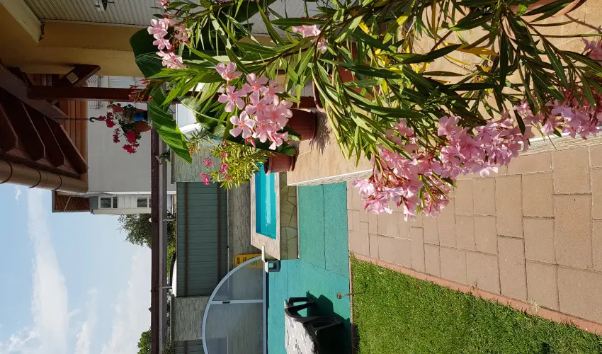 Napsug�r Resort Si�fok - Augusztus 20. (min. 5 �j)