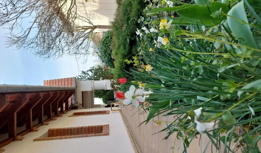 N�gy �vszak Apartmanh�z Zalakaros Zalakaros - Augusztus 20. (min. 2 �j)